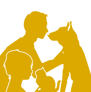 口腔内のバランス